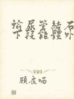 输尿管结石在中下段能体外碎石吗