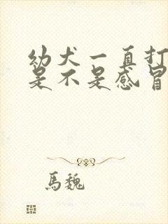 幼犬一直打喷嚏是不是感冒了