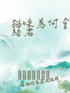 猫咪为何会得尿结石