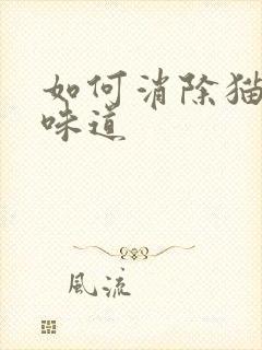 如何消除猫尿的味道