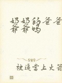 奶奶的爸爸叫太爷爷吗