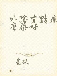 外阴有点痒吃什么药好