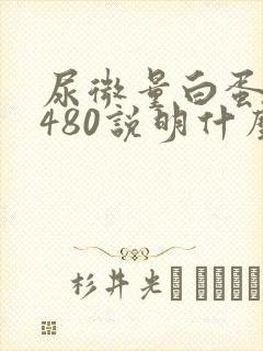 尿微量白蛋白高480说明什么问题