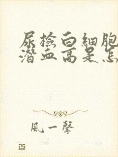 尿检白细胞和尿潜血高是怎么回事