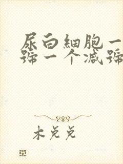 尿白细胞一个加号一个减号是什么意思