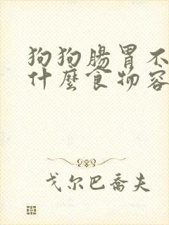 狗狗肠胃不好吃什么食物容易消化