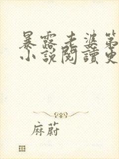 暴露老婆第三部小说阅读更新时间