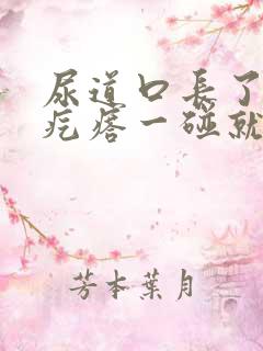 尿道口长了个肉疙瘩一碰就疼