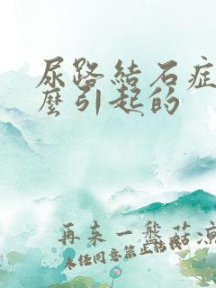 尿路结石症状怎么引起的