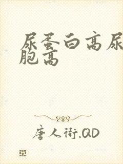 尿蛋白高尿白细胞高