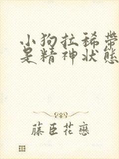 小狗拉稀带血但是精神状态很好