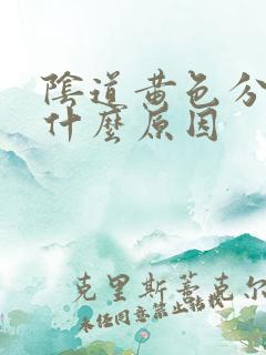 阴道黄色分泌物什么原因