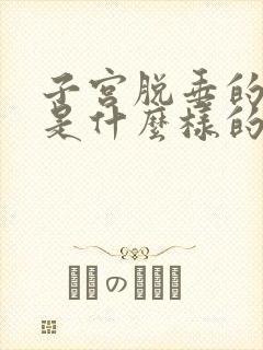 子宫脱垂的症状是什么样的