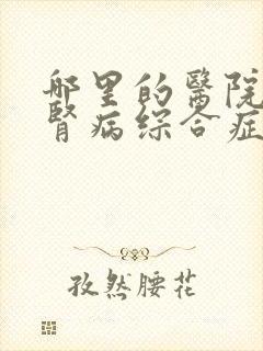 哪里的医院治疗肾病综合症好一些