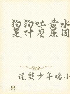 狗狗吐黄水拉稀是什么原因