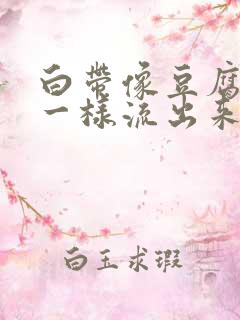 白带像豆腐渣水一样流出来