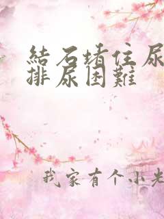 结石堵住尿道口排尿困难