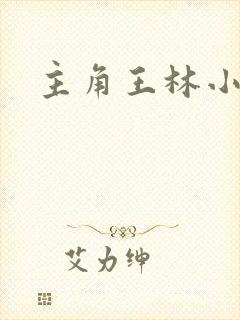 主角王林小说