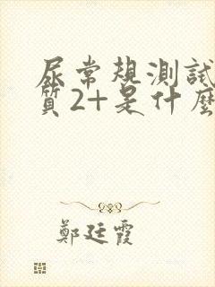 尿常规测试蛋白质2+是什么意思