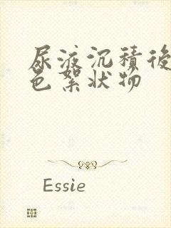 尿液沉积后有白色絮状物