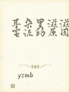 耳朵里滋滋响像电流的原因是什么