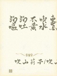 狗狗不吃东西还呕吐黄水怎么办