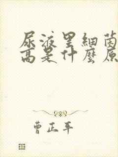 尿液里细菌计数高是什么原因