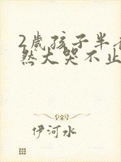 2岁孩子半夜突然大哭不止怎么回事