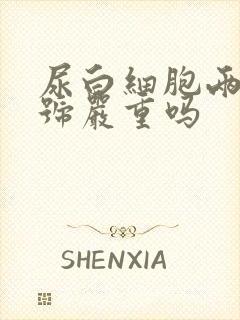 尿白细胞两个加号严重吗