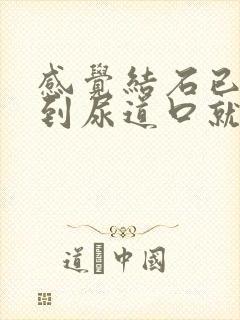 感觉结石已经排到尿道口就是出不来