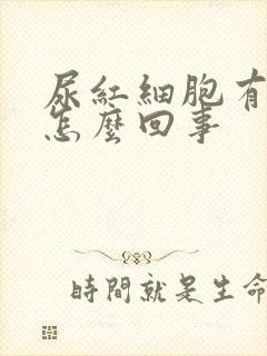 尿红细胞有点高怎么回事