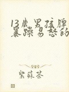 13岁男孩脾气暴躁易怒的中医调理