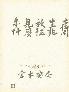 梦见放生老鼠是什么征兆周公解梦