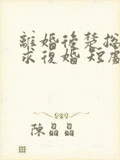 离婚后楚总天天求复婚 短剧