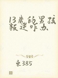 13岁的男孩子叛逆咋办