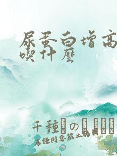 尿蛋白增高不能吃什么