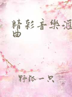 精彩音乐汇 歌曲