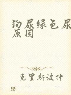 狗尿绿色尿什么原因