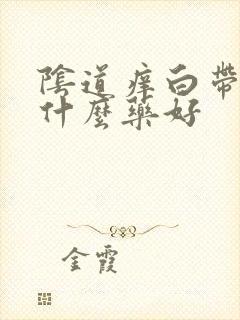 阴道痒白带多用什么药好