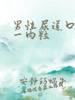 男性尿道口上长一肉粒