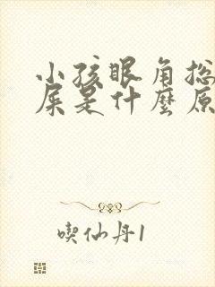 小孩眼角总有眼屎是什么原因