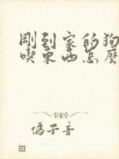 刚到家的狗狗不吃东西怎么办