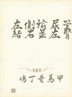 左侧输尿管下段结石并左肾轻度积水