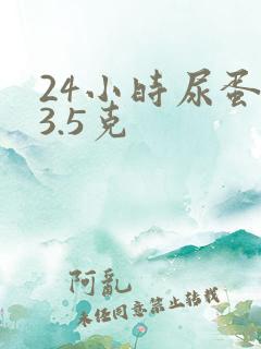 24小时尿蛋白3.5克