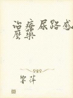 治疗尿路感吃什么药