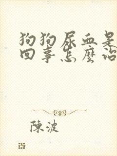 狗狗尿血是怎么回事怎么治疗