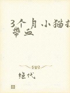 3个月小猫拉稀带血