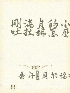 刚满月的小狗呕吐拉稀怎么办