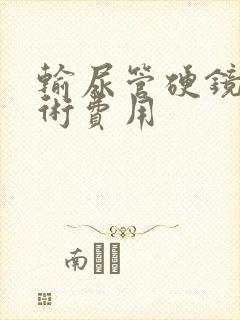 输尿管硬镜碎石术费用