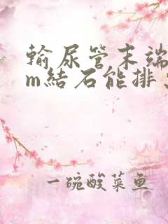 输尿管末端2mm结石能排出吗